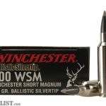 Winchester BALLISTIC SILVERTIP .300 Winchester Magnum 180 grain – 500 Rounds