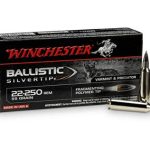 Winchester BALLISTIC SILVERTIP .22-250 Remington 55 grain Fragmenting Polymer Tip SBST22250B, 500 Rounds