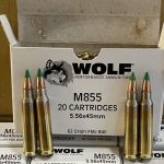 Wolf Gold 5.56mm M855 NATO Ammo 62 Grain Full Metal Jacket – WM855 500 Rounds