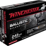 Winchester 243 Ballistic Silvertip 95 500 Rds