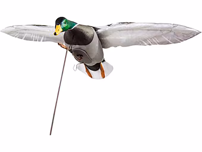 httpsblackhillsshooterssupply.comwp-contentuploads202512r3t4t45-1.avif Higdon Clone Drake Mallard Duck Motion Decoy - Image 1